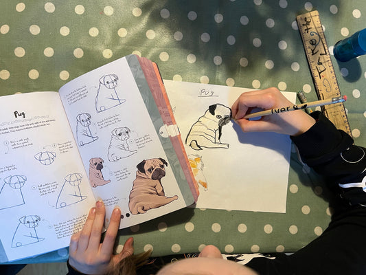 Step-by-Step Guide to Drawing Different Dog Breeds