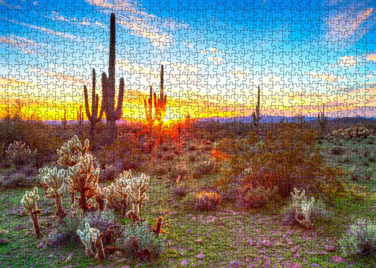 Arizona Desert Saguaro Cacti Jigsaw Puzzle