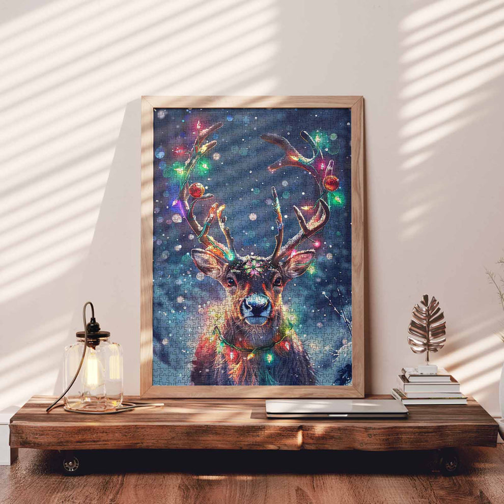 Interests and Preferences