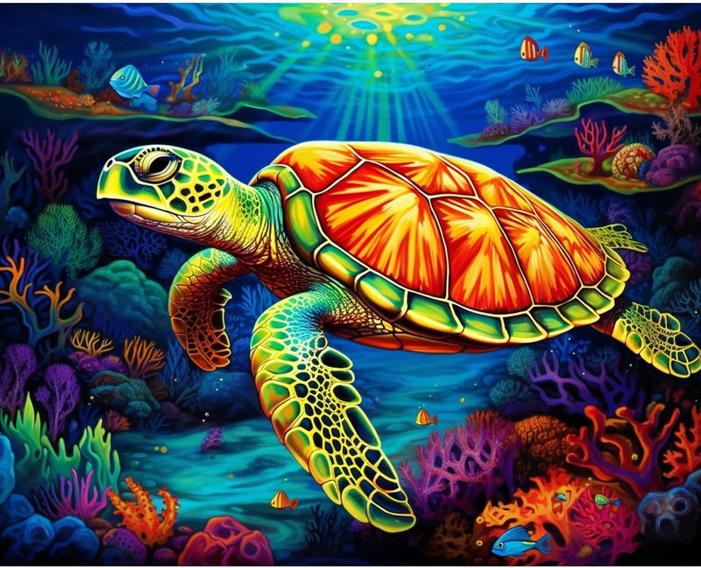 How to Draw a Turtle Step by Step for Beginners