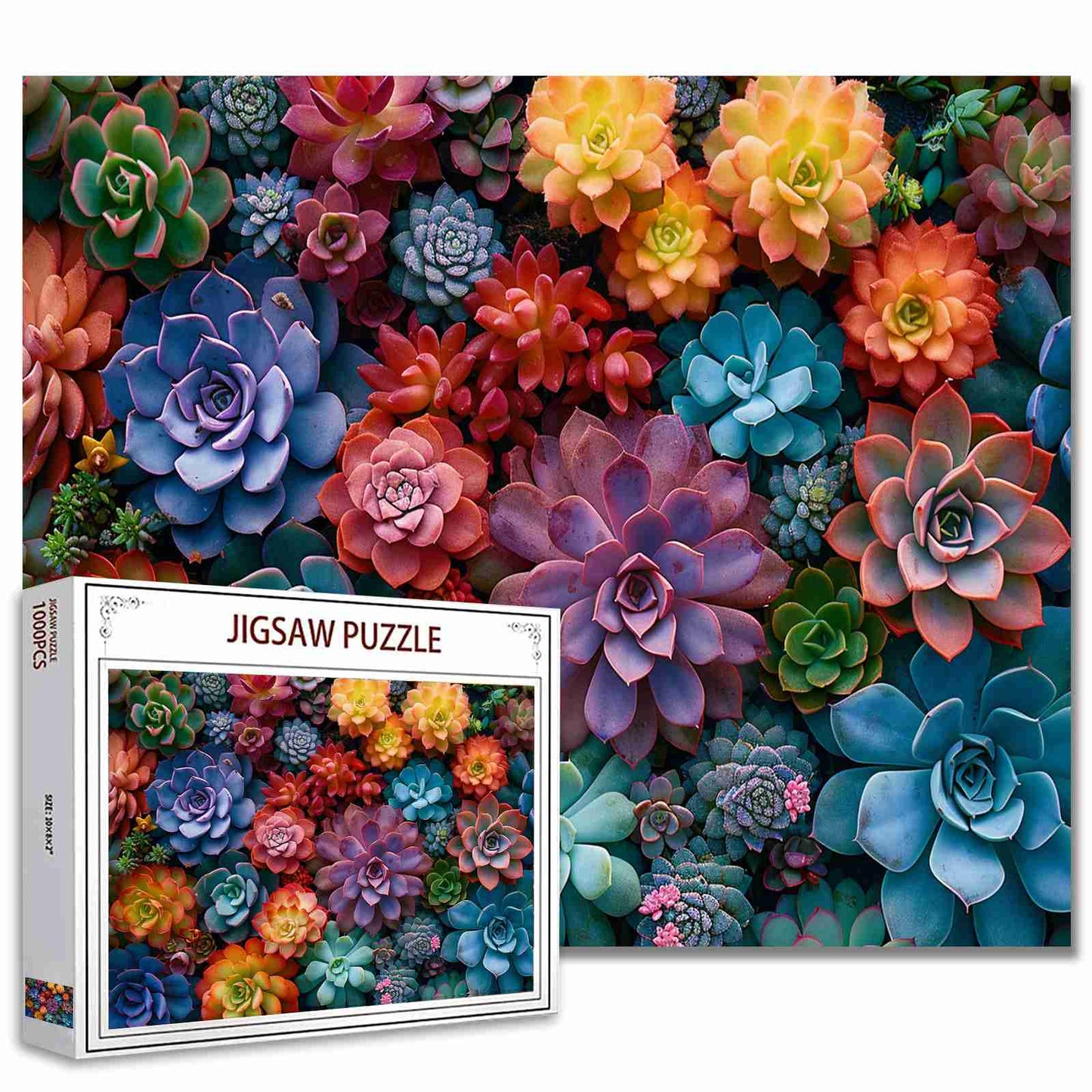 Vibrant Succulents Jigsaw Puzzles