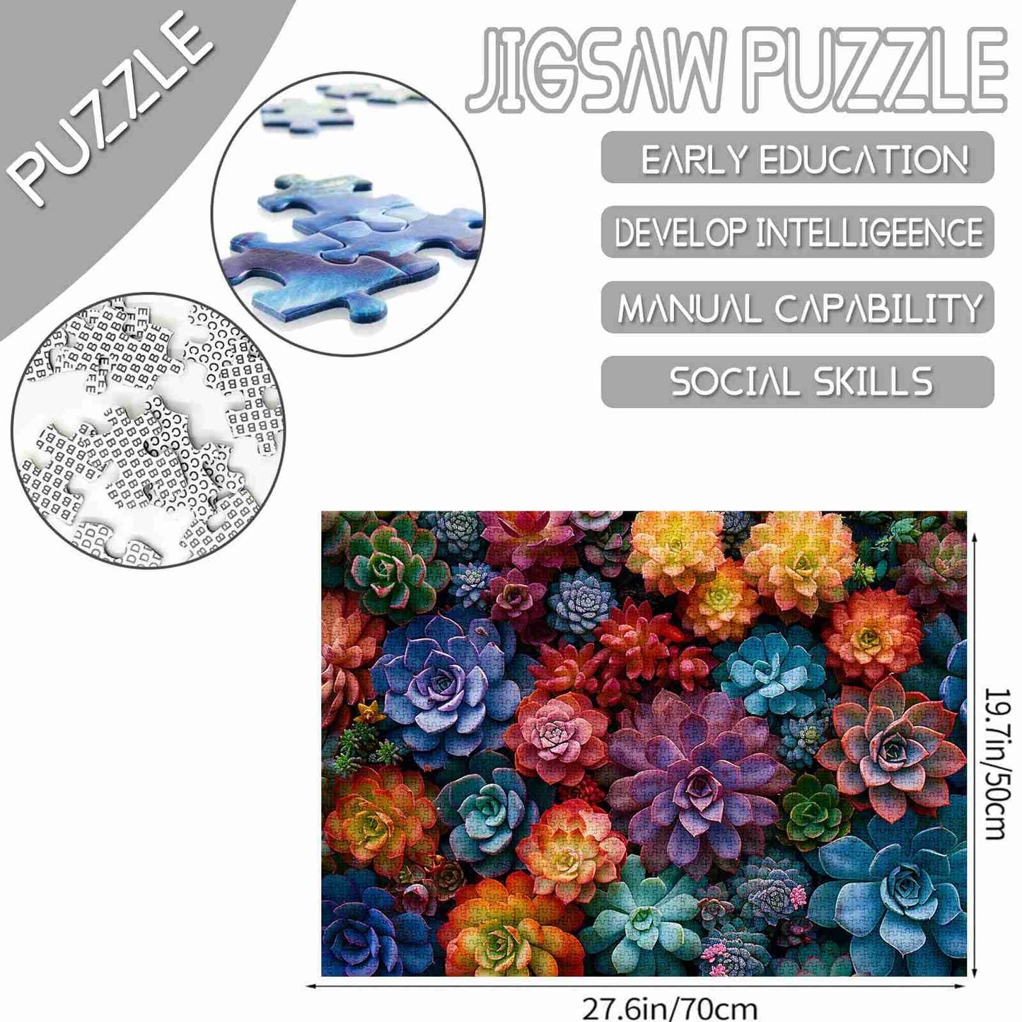 Vibrant Succulents Jigsaw Puzzles