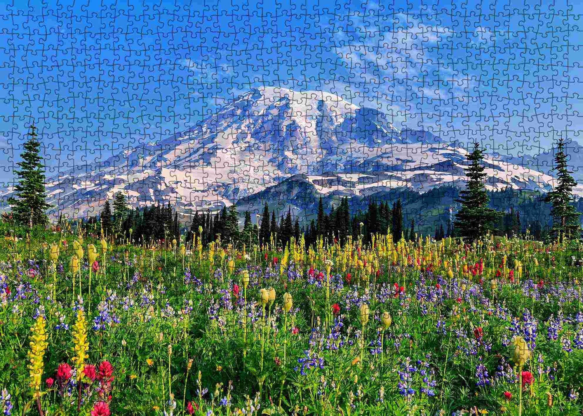 Mount Rainier Painting Jigsaw Puzzle
