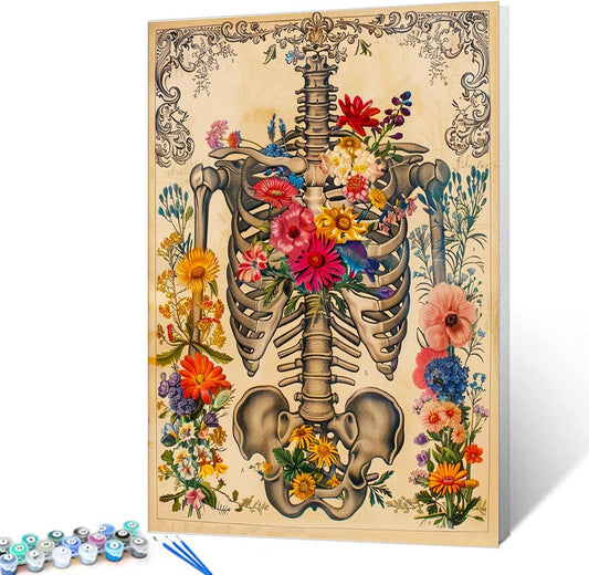 Human Skeleton and Flowers Paint by Numbers