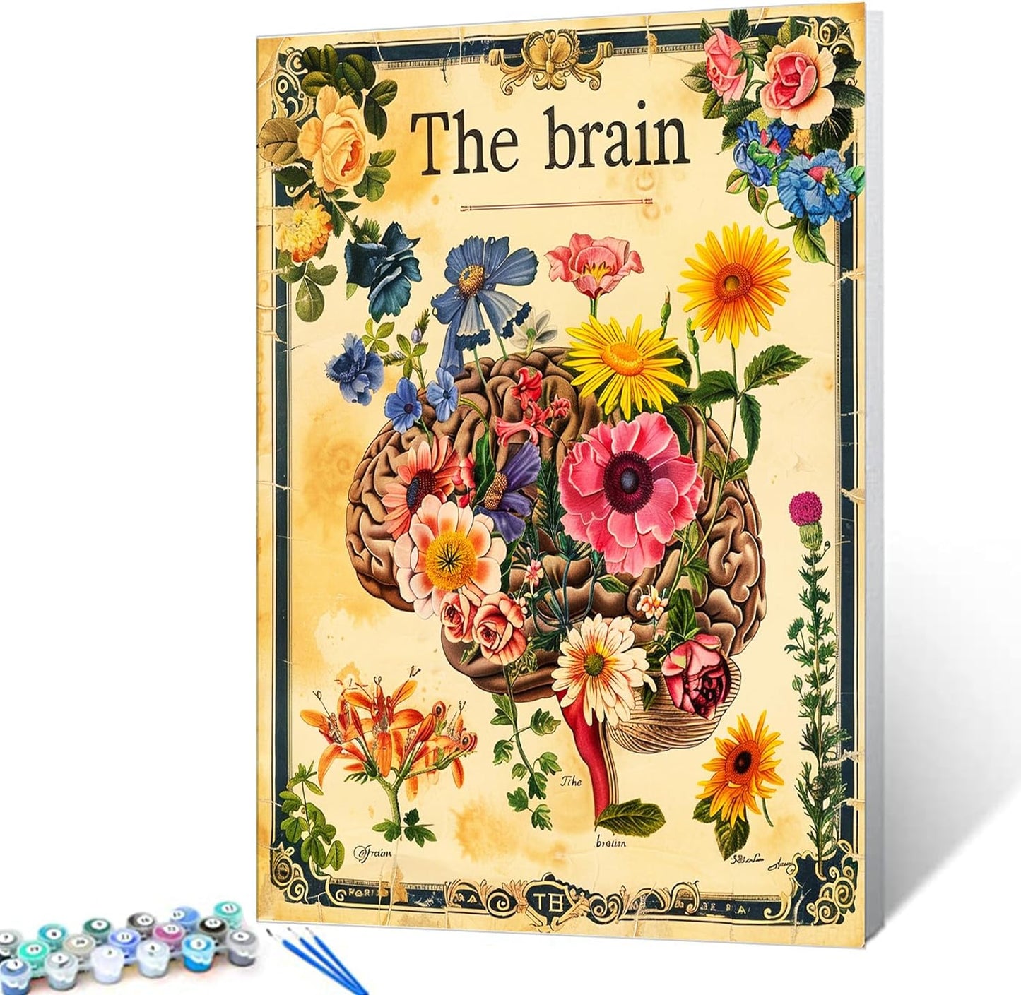 Flowers Around the Brain Paint by Numbers