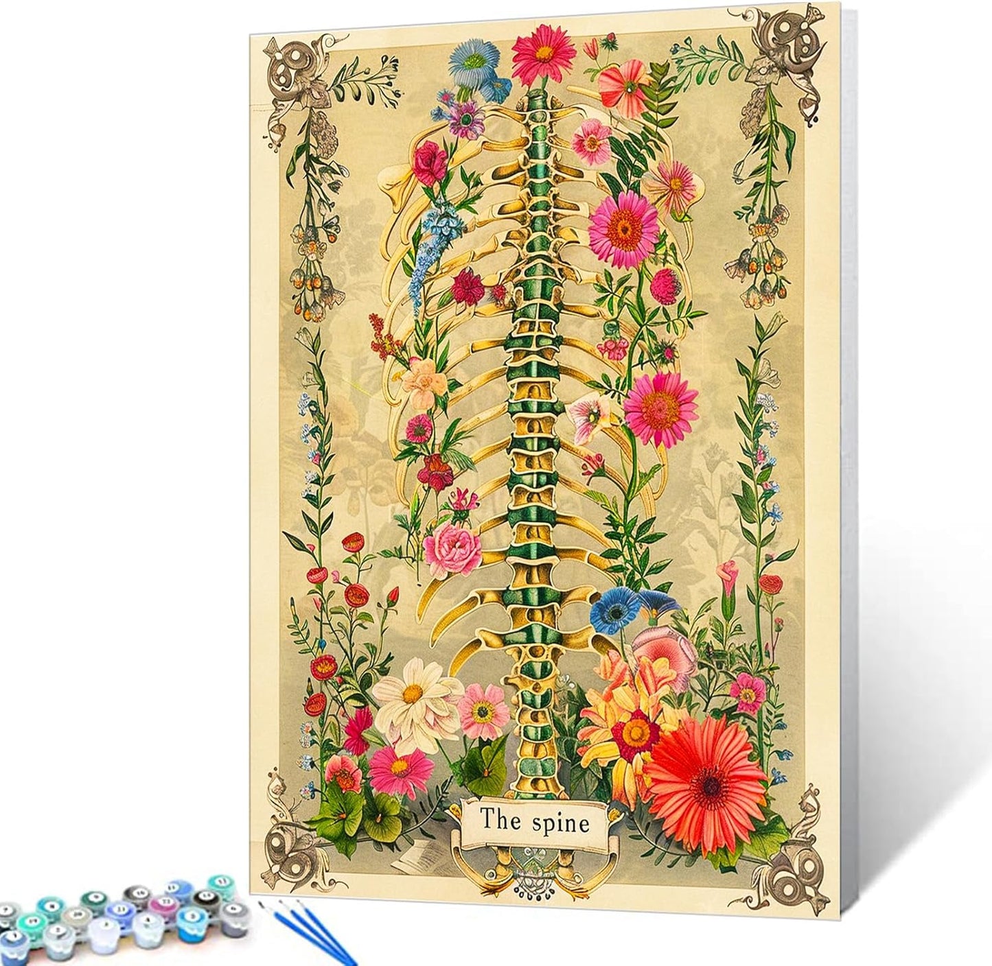 Flowers Around the Spine Paint by Numbers