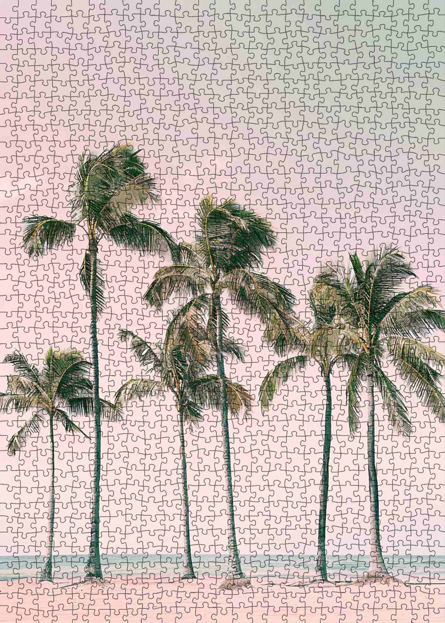 Sunset Palm Coast Jigsaw Puzzle