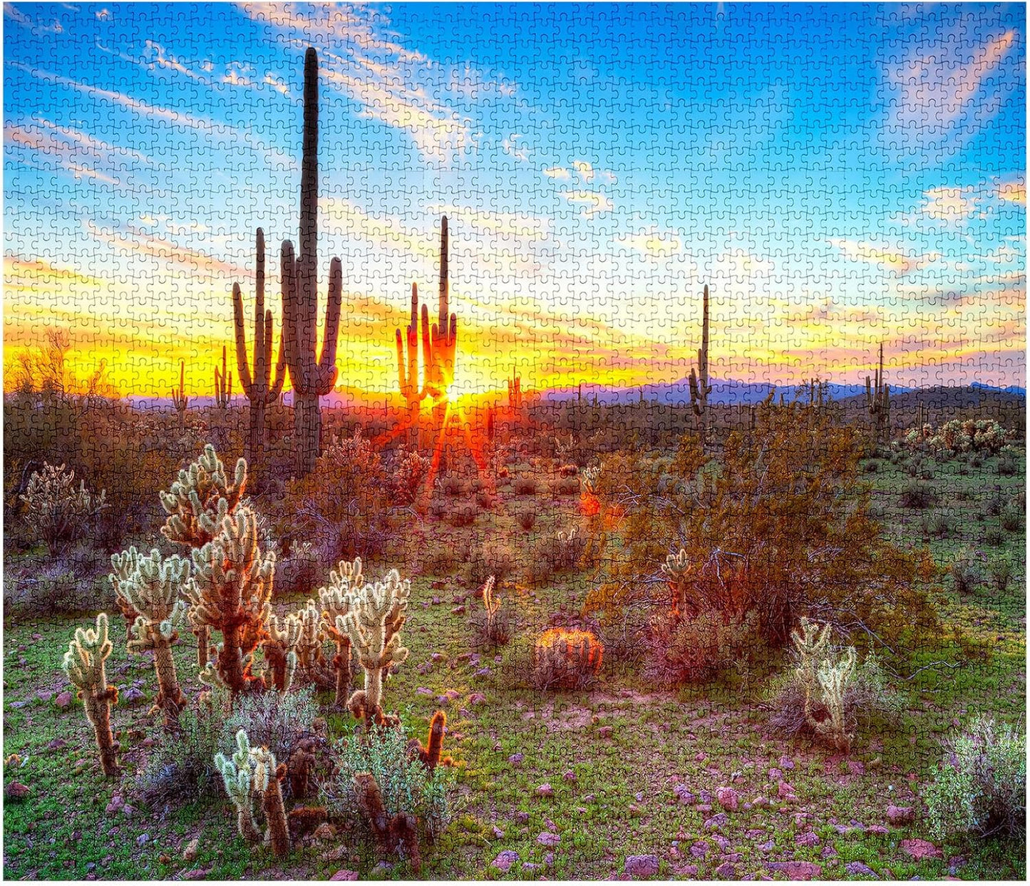 Arizona Desert Saguaro Cacti Jigsaw Puzzles - Tucocoo